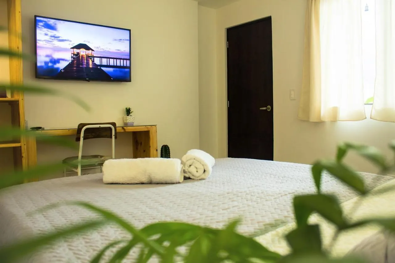 Проживание в семье Апартаменты Gaia House Медельин Колумбия