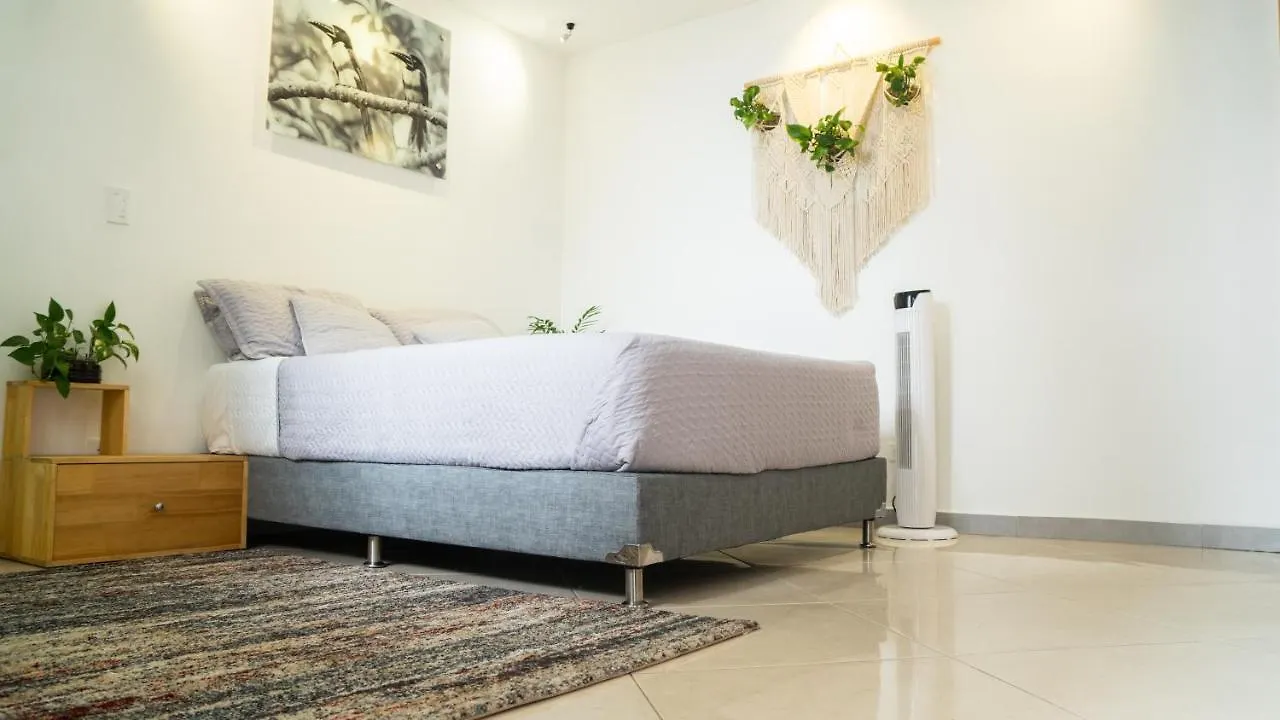 Проживание в семье Апартаменты Gaia House Медельин Колумбия