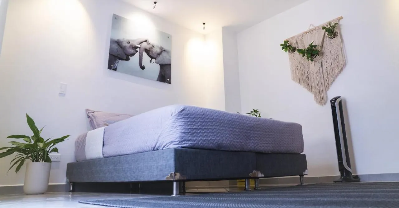 Апартаменты Gaia House Медельин Проживание в семье